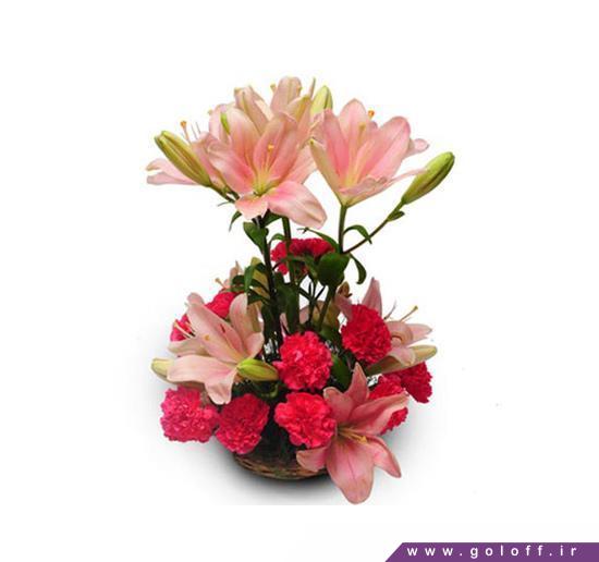 مدل سبد گل - سبد گل آلیسیو - Alicio | گل آف